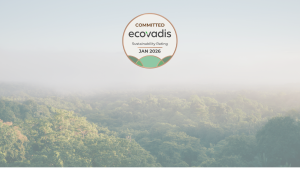 a dense forest with a light fog is in the background with a graphic over top that says committed ecovadis sustainability rating january 2026